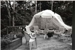 table on the deck with mosquito netting