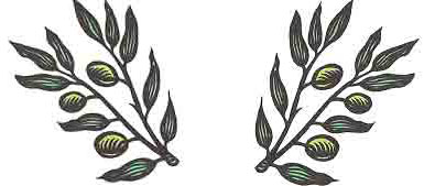 olive branches
